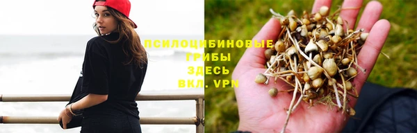таблы Аркадак