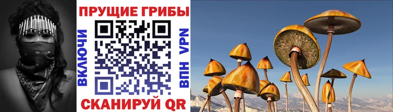 Псилоцибиновые грибы прущие грибы гидра зеркало Зима